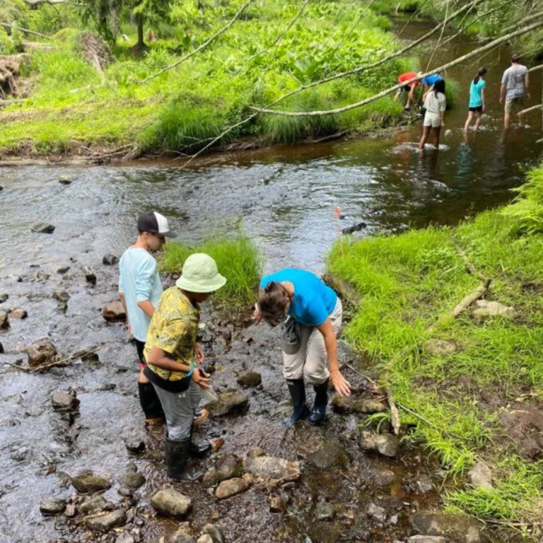 Environmental Sciences